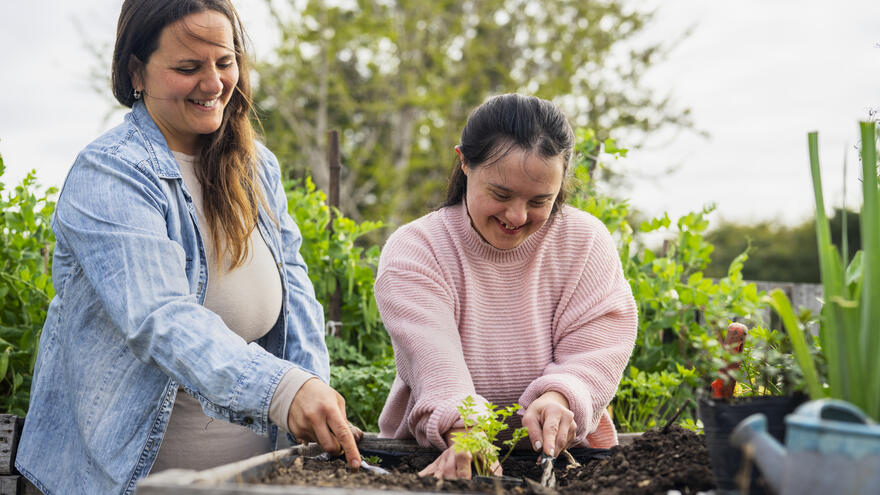 A woman and a girl in the garden planting some small plants together. 